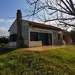 Detached House In With Garden Case de vacanță